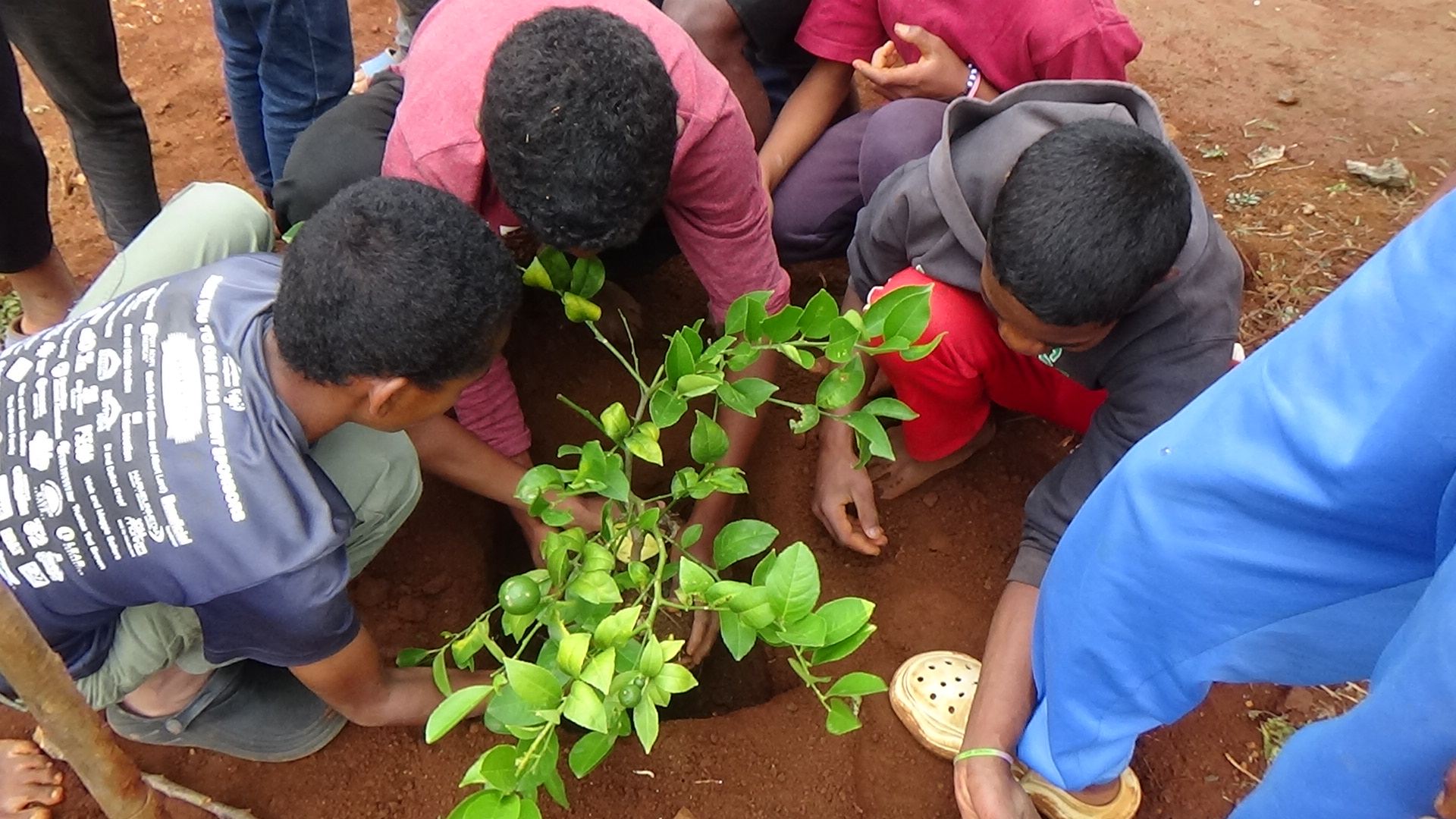  TOGETHER, WE ARE GROWING A SUSTAINABLE ECOSYSTEM 🌍